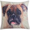 Clayre & Eef Dekoračný vankúš s výplňou Buldog - 43 * 43 cm - Clayre & Eef