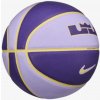 Nike ALL COURT 2.0 8P L JAMES