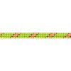 BEAL Legend 8,3 mm green 60 m