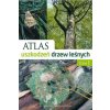 Atlas uszkodzen drzew lesnych