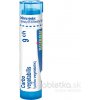 Carbo Vegetabilis gra.1 x 4 g 9CH