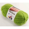 Priadza Gloria - kivi 52420
