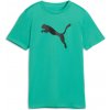 Puma Tad Essentials Cat Logo Tee B zelená