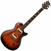 PRS SE 245