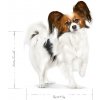 ROYAL CANIN Adult x- small SHN - suché krmivo pro psy - 1,5kg