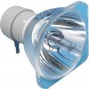 Lampa pre projektory BENQ MX766, MW767, MX822ST vr. modulu originálná (5J.J7E05.001)