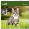 Cats 2027 - nástěnný kalendář