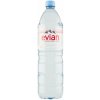Evian 1,5 l PET