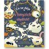 Co se děje v hmyzích obydlích? - Anna Milbourneová