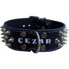 Obojok kožený 5cm s menom+ostne - čierny