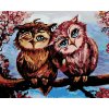 zuty Zuty - Maľovanie Podľa Čísel - Sovy Na Strome, 40X50 Cm, Plátno+Rám (8596530083979)