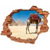 Nálepka 3D diera na stenu Camel v káhire 90x70 cm