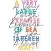 A Very Large Expanse of Sea (Tahereh Mafi)(Pevná)