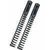 BITUBO Fork springs kit BITUBO Progressive (+2 Lt. Oil)