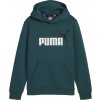 Puma ESS + 2 COL Big Logo Hoodie FL B zelená