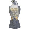 Bradas Plašič vtákov 17/17 5/41cm Sokol CTRL-BR103