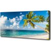Foto obraz canvas Maledivy pláž 100x50 cm