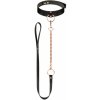 Obojok s vodítkom Rosy Gold Collar with Leash čierny