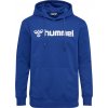 Hummel HMLGO 2.0 LOGO HOODIE 224843 7026