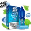 Just Juice Salt ICE Pure Mint 10 ml 20 mg