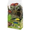 Grainless Snack PLUS pre hlodavce šalvia a púpava 100 g JR Farm