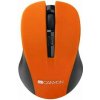 Canyon MW-1 CNE-CMSW1O