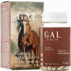 GAL Shoden® Ashwagandha 60 Capsules