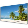 Obraz plexi Pláž palma more krajina 100x50 cm