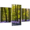 Moderný obraz - Les (Obraz 90x60cm)