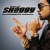 Shaggy - Boombastic Collection / Best Of [CD]