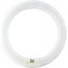 Žiarivka Philips G10q 32W 2375lm 4000K
