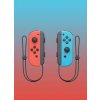 Nintendo Joy-Con Pair NSP080