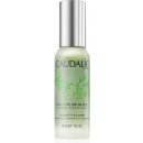 Caudalie Eau De Beauté skrášľujúci elixír pre žiarivý vzhľad pleti Beauty Elixir 30 ml