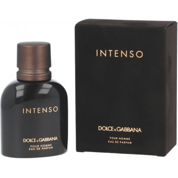 Dolce & Gabbana Intenso parfumovaná voda pánska 75 ml