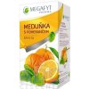 Megafyt Pharma s.r.o. MEGAFYT Medovka s pomarančom 20x2 g (40 g) 20 x 2 g
