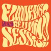 Flamengo Reunion Session - Live / Vinyl [LP]