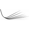 Luxury Lashes 5D M/L Riasy Premium sypané v hotovom vejáriku 1 000 ks Zakrivenie umelých rias: M, Dĺžka umelých rias: 11 mm, Hrúbka rias: 007