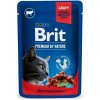 Brit Premium Cat kapsička Beef Stew & Peas SET 24x 100 g