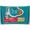 Purina ONE mokré krmivo losos 365 kg