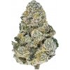 Fast Buds Semienka kanabisu Lemonpaya Feminizované 5 ks