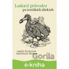 E-kniha Laskavý průvodce po sociálních dávkách - Rostislav Čevela, Libuše Čeledová