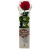 Stabilizovaná ruža na stonke - Anglická ruža červená Kus: 1
