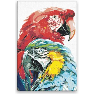 Maľovanie podľa čísel - Dva papagáje 02 - 80x120 cm, bez dřevěného rámu - výroba CZ