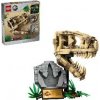 LEGO Jurassic World Dinosaurie fosílie: Lebka T-Rexa 76964