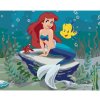 Diamondi Diamantové maľovanie - MALÁ MORSKÁ VÍLA Rámovanie: bez rámu a bez vypnutia plátna, Rozmer: 40x50 cm