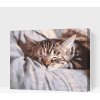 Vymalujsisam.sk Maľovanie podľa čísiel - Spiaca mačka Veľkosť: 40x50cm, Rám: Na plastovej doske