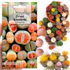 Semená sukulentov Palm-Tree Żywe kamienie Lithops sp. 20 ks