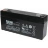 Fiamm olovená batéria FG10301 6V/3Ah 05989