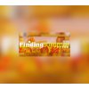 Finding summer EU PC Steam CD Key