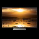 Sony Bravia KD-49XE9005